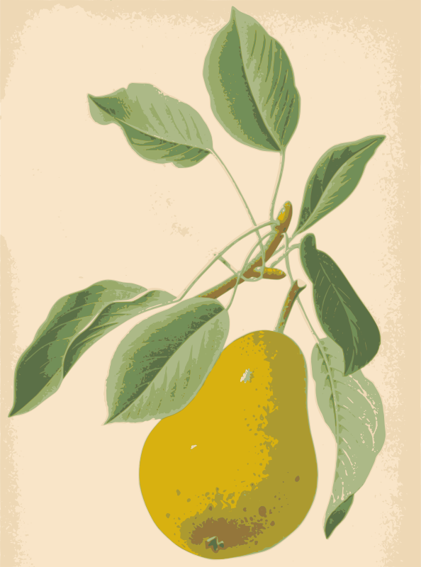 Pear and Leaves