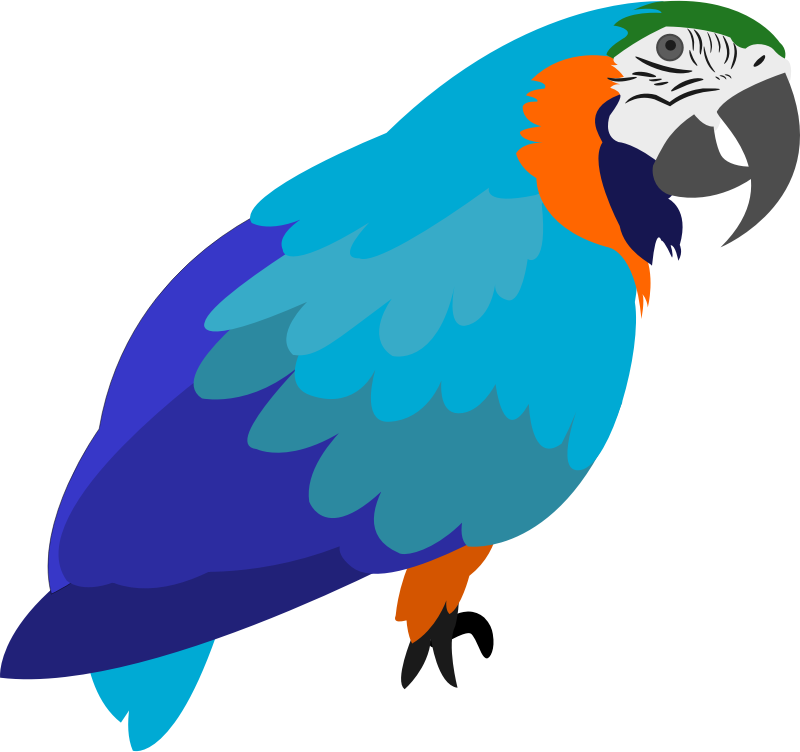 Cartoon Parrot