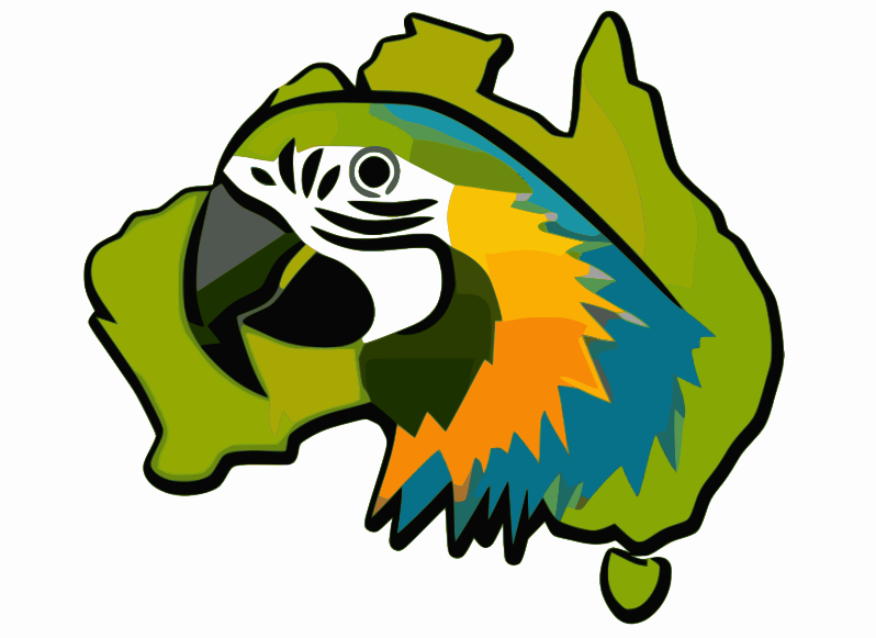 Australian Parrot