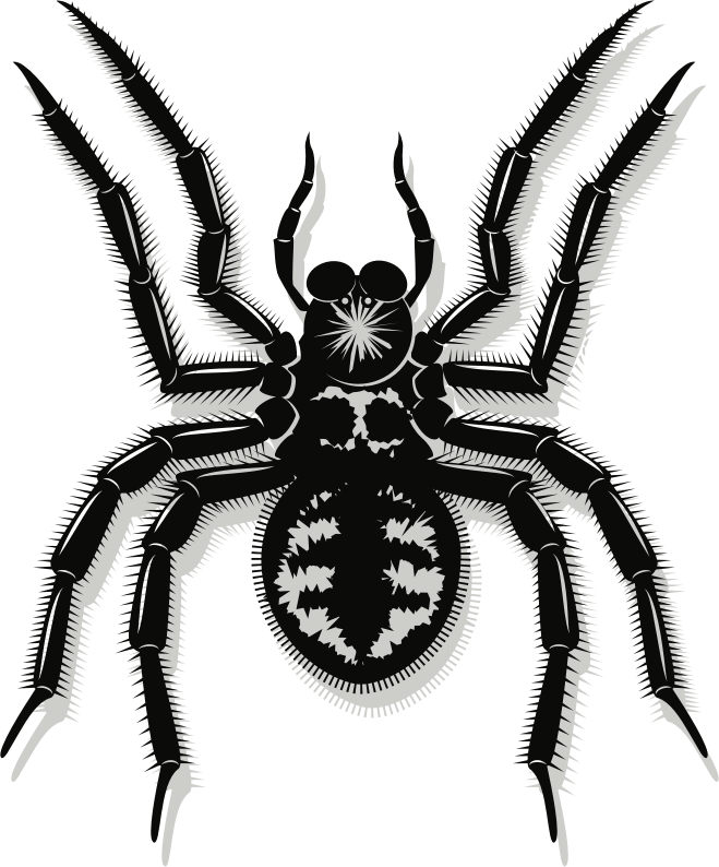 Spider (#1)