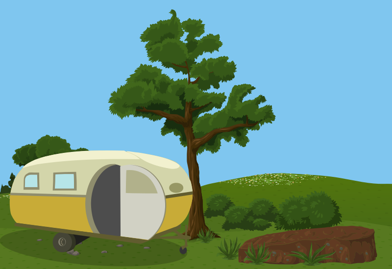 Camper in the Forest