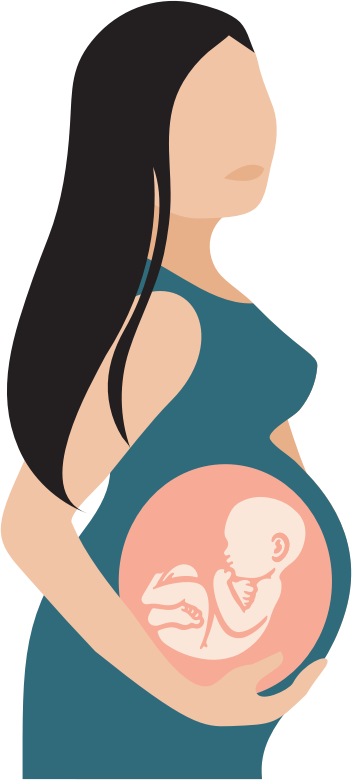 Pregnant Woman With See Through Belly Illustration
