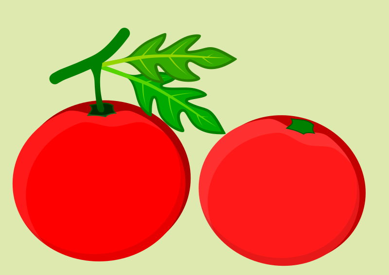 tomatoes 30012019