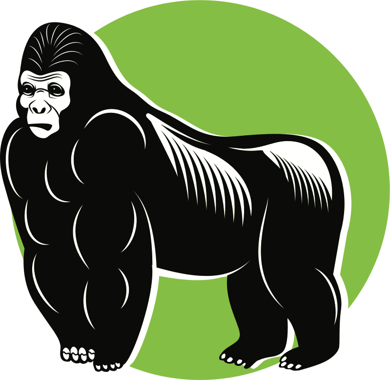 Gorilla (#1)