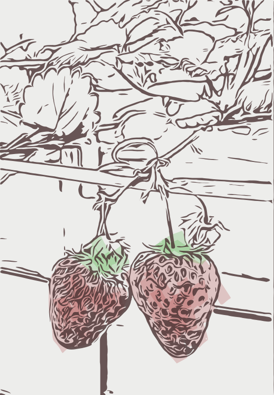 Strawberries - Abstract