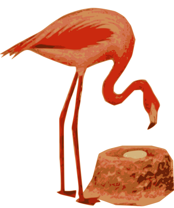Flamingo Nest