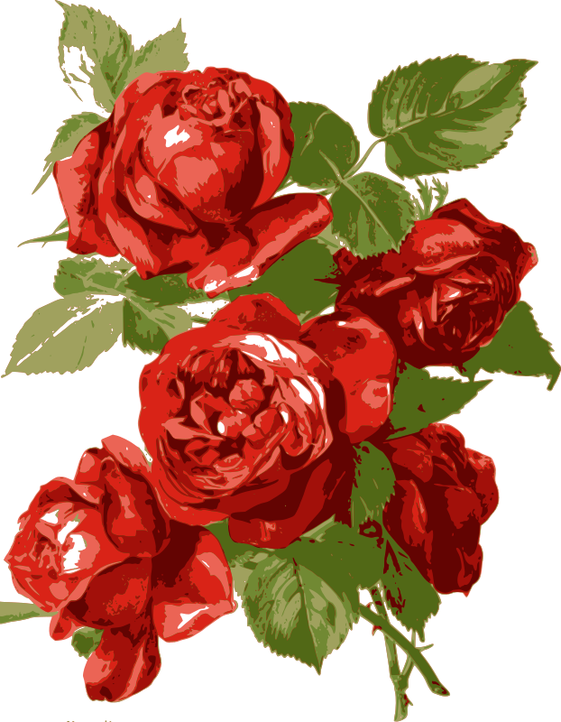 Simple Red Roses