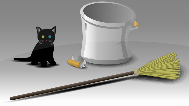 Black Cat and Broom