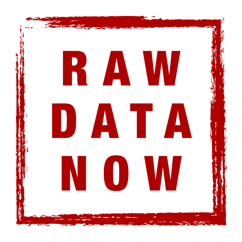 RAW DATA NOW Brush Logo