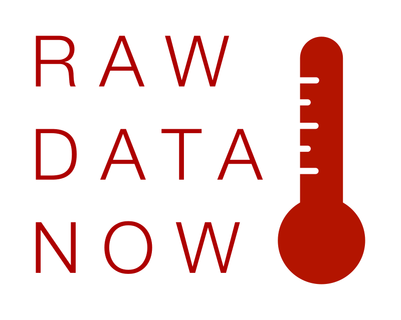 RAW DATA NOW Thin type Thermometer Logotype
