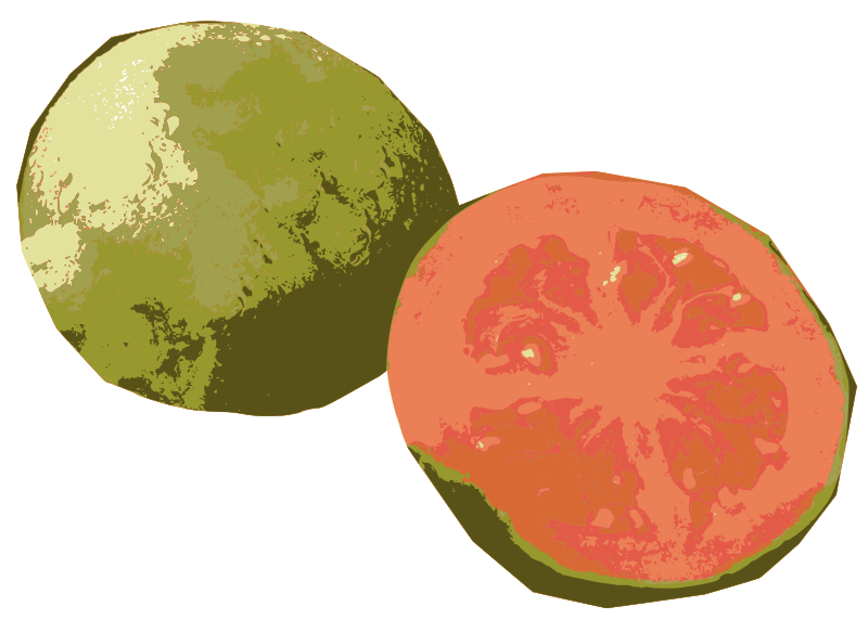 Sliced Open Guava