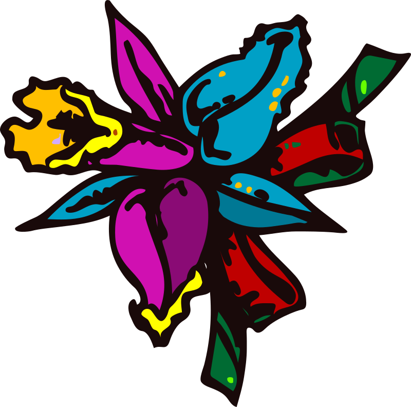 mazzo di fiori (Colorful Flower)