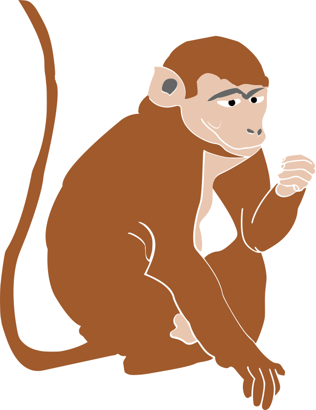 Philippine Monkey