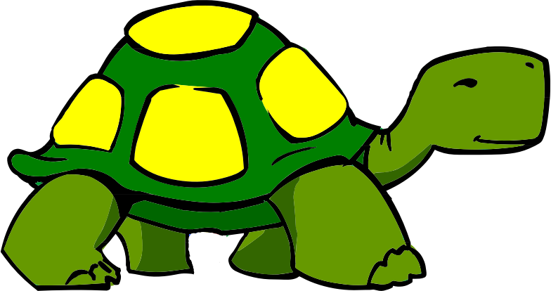 walking turtle or tortoise