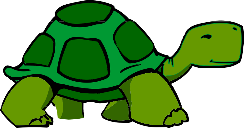 walking turtle or tortoise #2