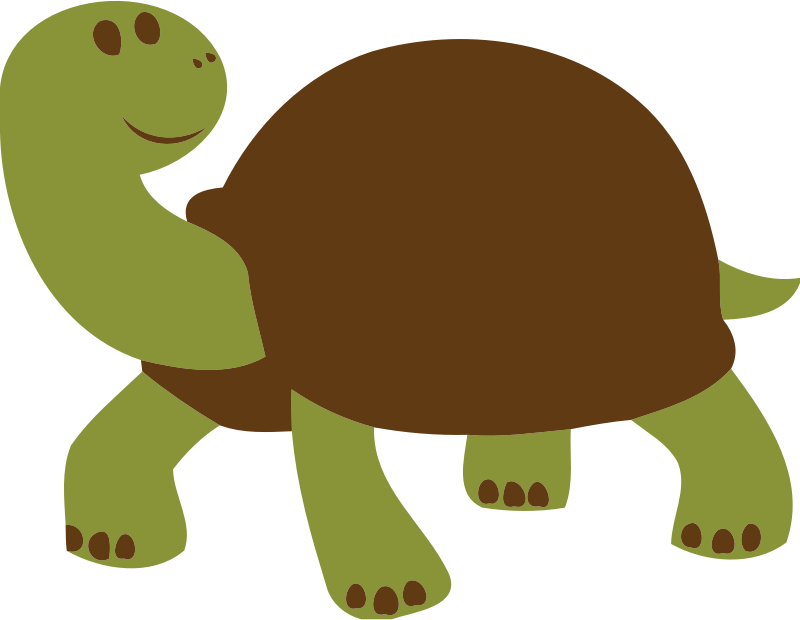 friendly turtle or tortoise