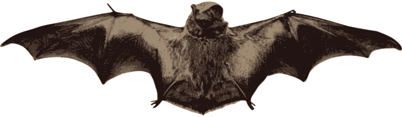 Bat with Wings