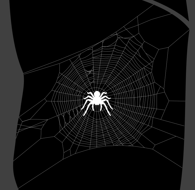 Spider web by Rones