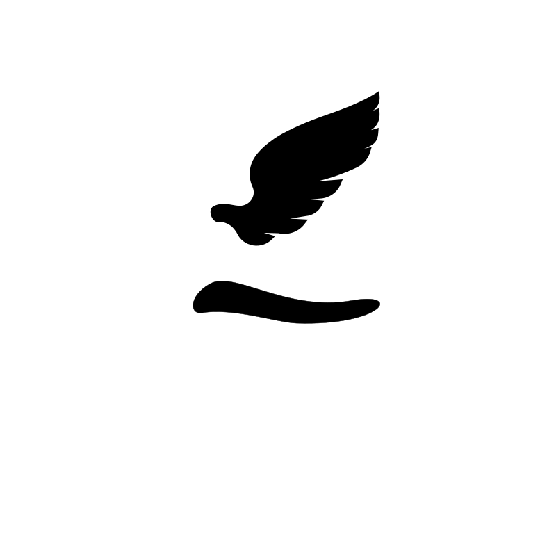 Wing and Tail Silhouette