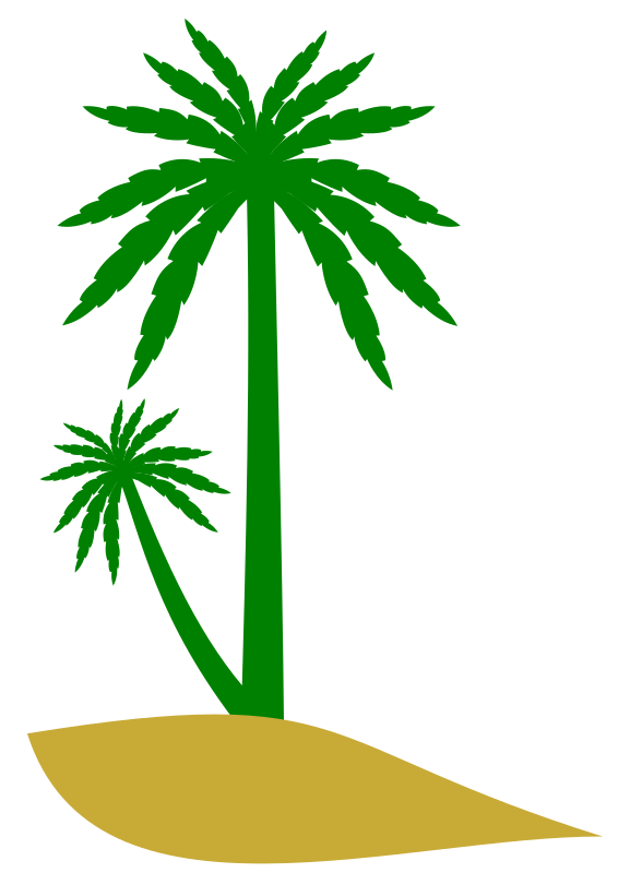palm date