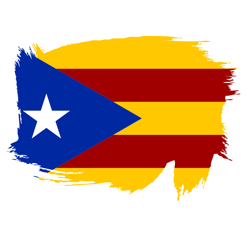 Catalan Independentist Brush Flag