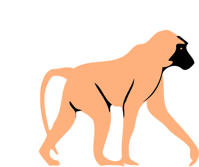 simple baboon