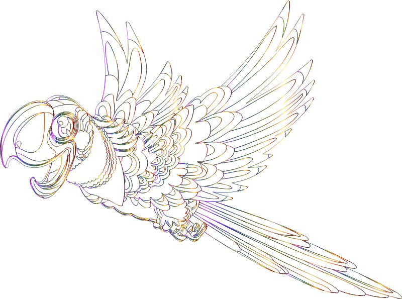Parrot By GraphicMama-team Chromatique Line Art No Silhouette