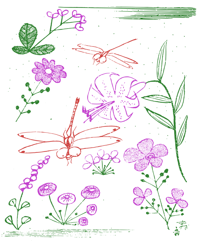 Dragonflies and Flowers - Basic Colour Remix