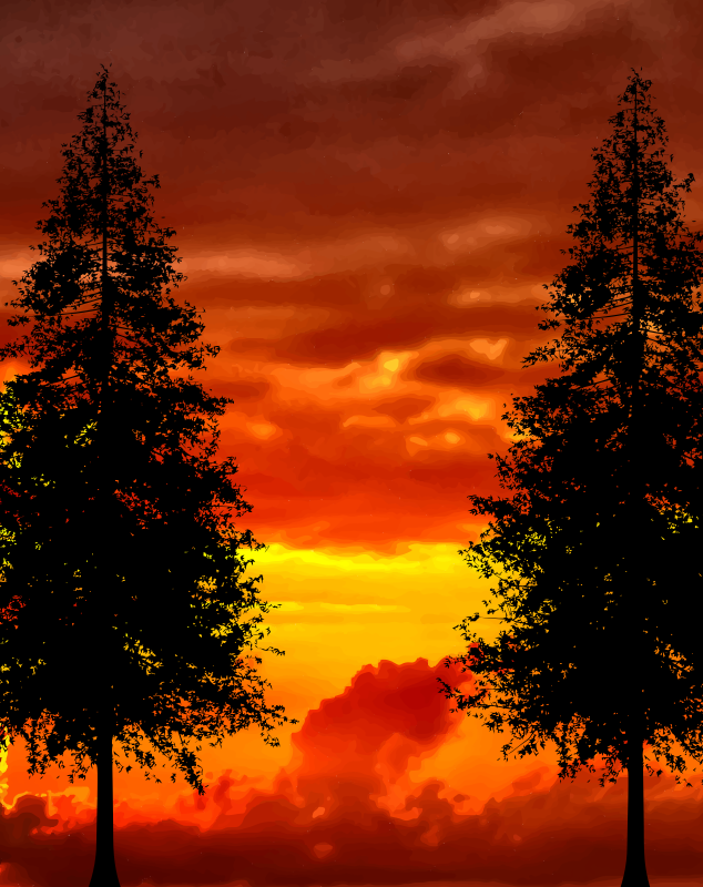 Two Trees In Front of a Sunset