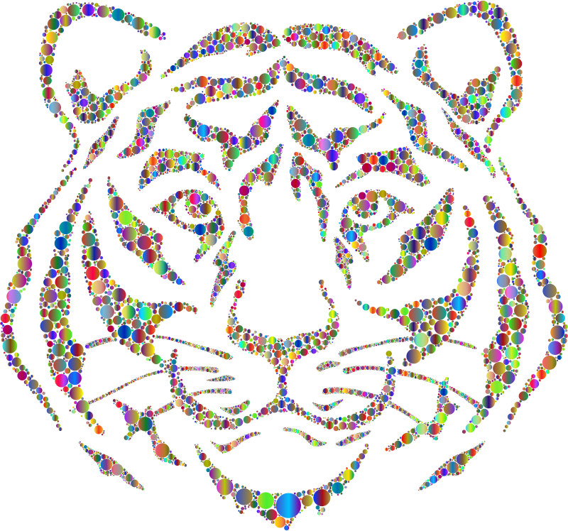Year Of The Tiger Circles Polyprismatic