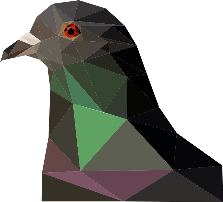 Vector Pigeon