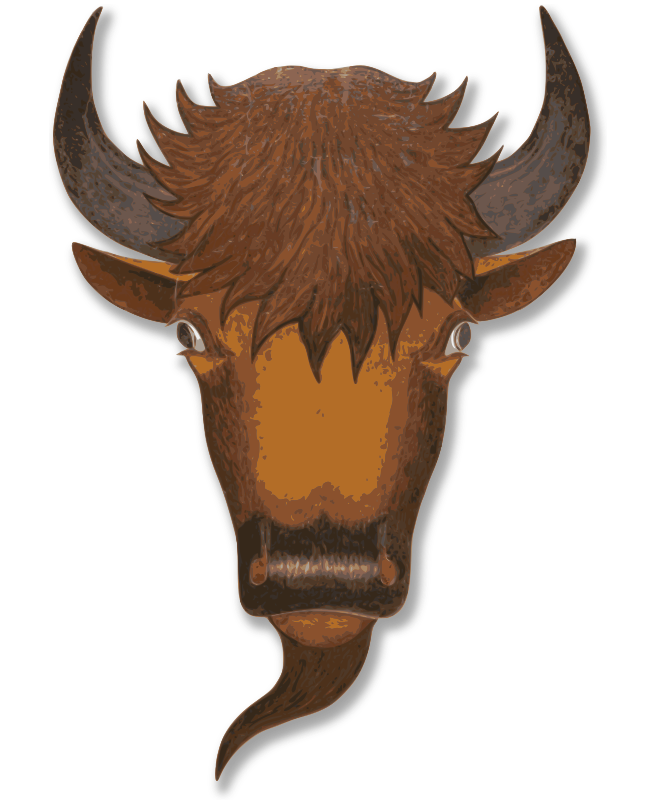 Bull's Head