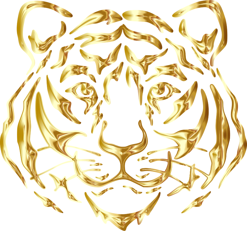Tiger Face By Rejon Gold