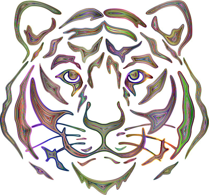 Tiger Face By Rejon Chromatic