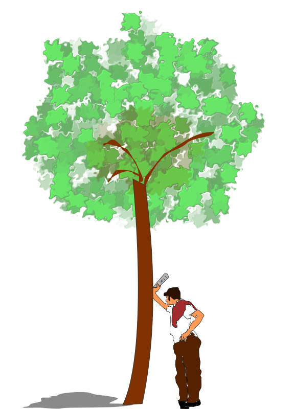 Man Leans on a Tree