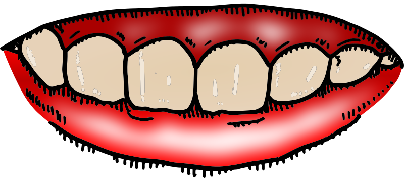 Upper gums with teeth