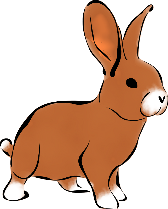 rabbit brown