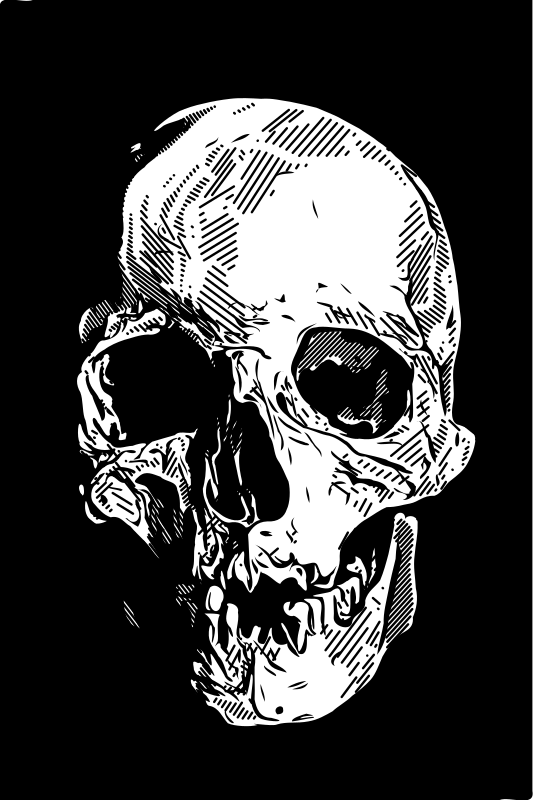 Skull in Darkness