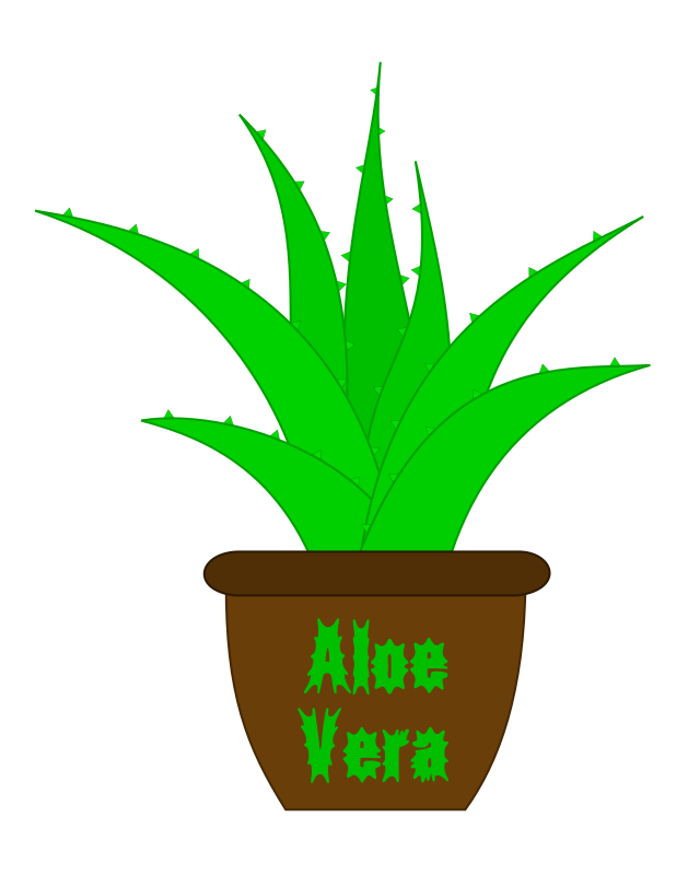 Aloe Vera with a Label