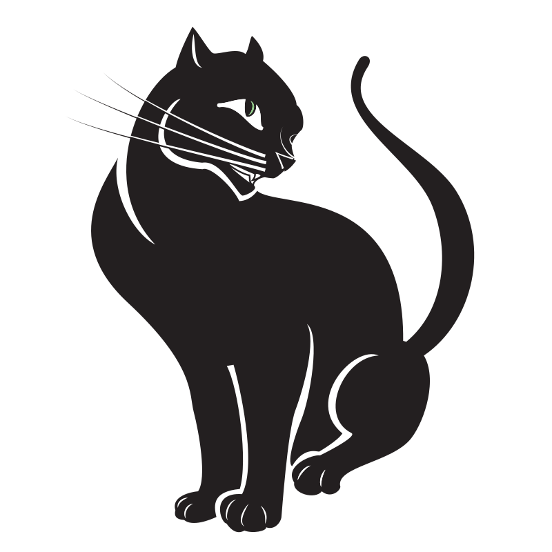 Black Cat - Isolated