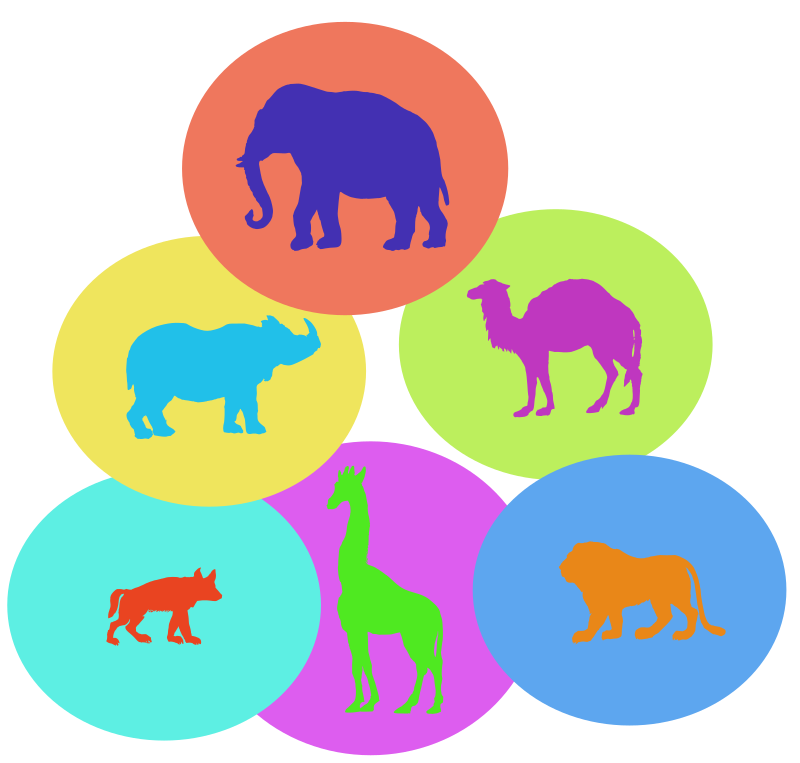 Animals in Colour Circles