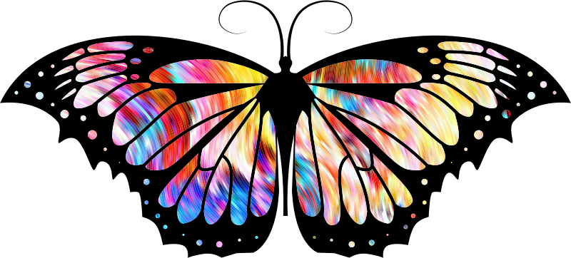 Psychedelic Butterfly Stripes