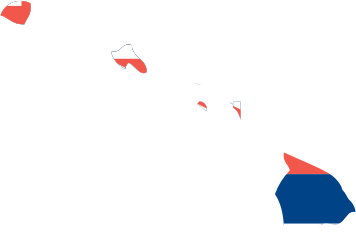 Hawaii State Outline with Flag Background