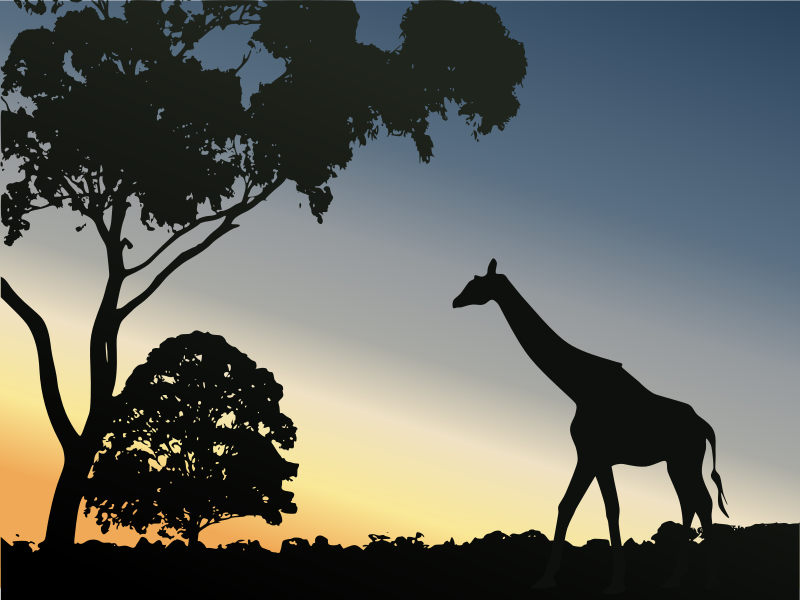 Sunset with a Silhouette of a Giraffe