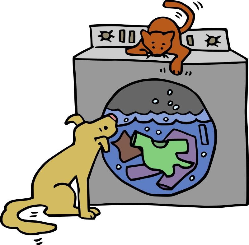 Washing Machine with Pets - Colour Remix