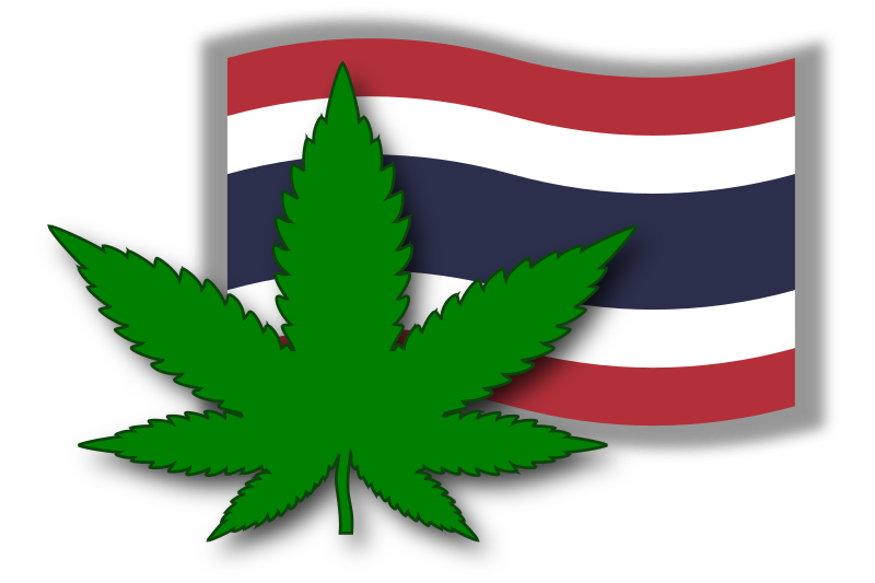 Legal Marijuana in Thailand