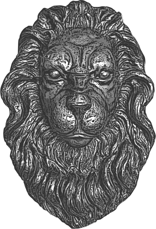 3D Lion face