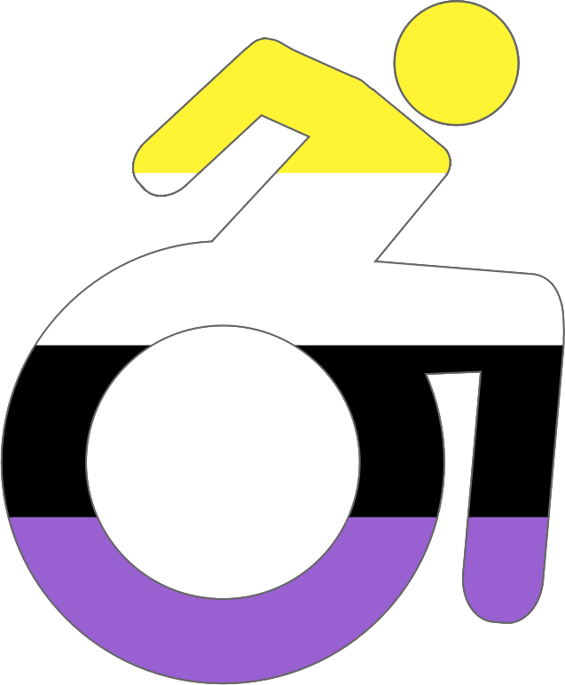 Disabled wheelchair non-binary pride flag black border 