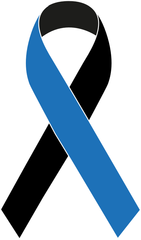 awareness ribbon two color