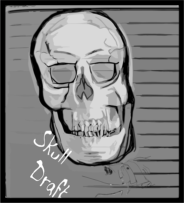 skull draft 1